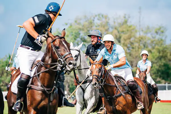 Magic polo hotsell